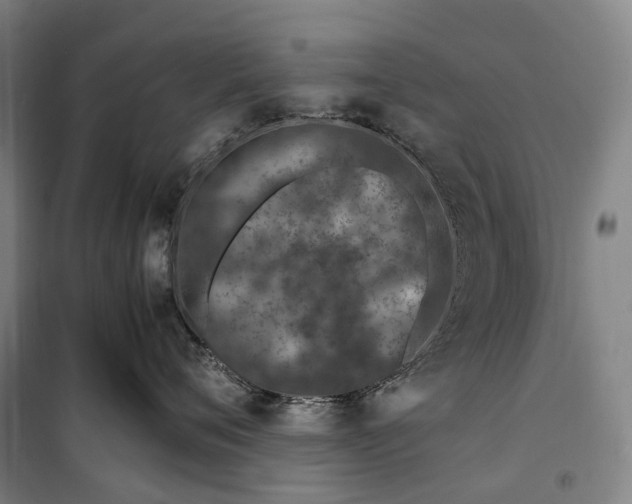 X0000099570720200806061603