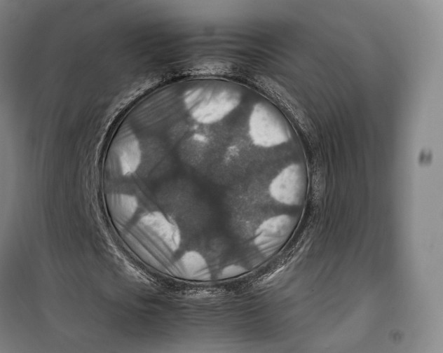 X0000099570721200806061602