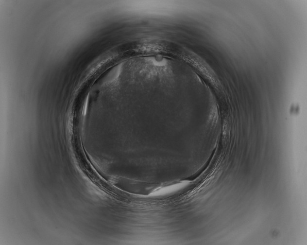 X0000099570722200806061602