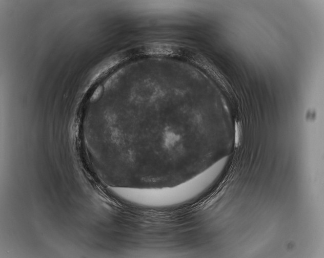 X0000099570723200806061602