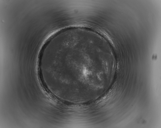 X0000099570724200806061602