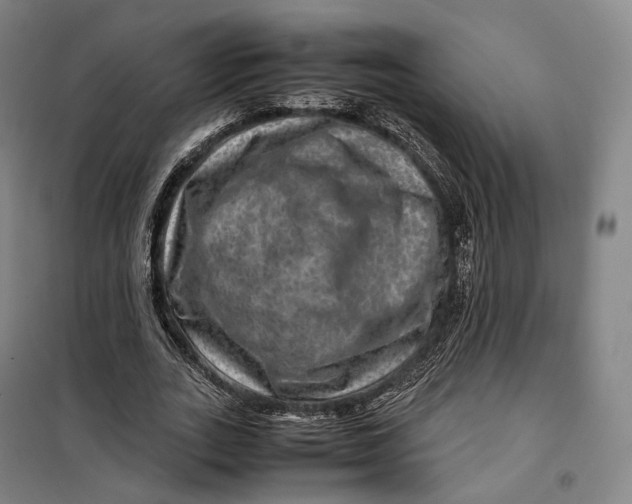 X0000099570727200806061602