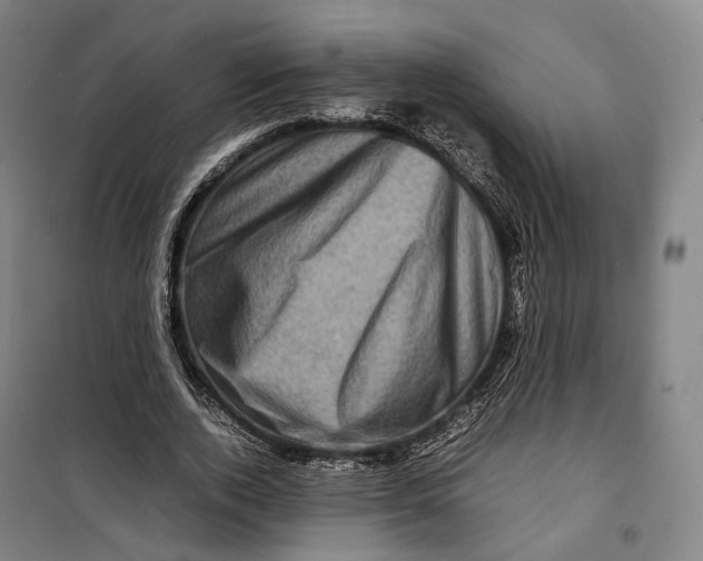X0000099570728200806061602