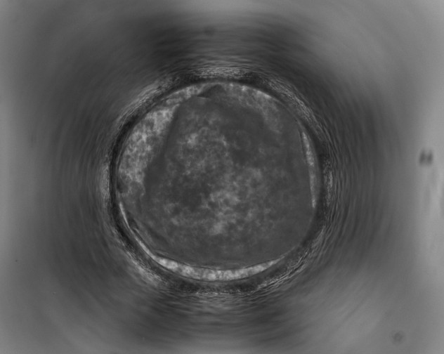 X0000099570729200806061602