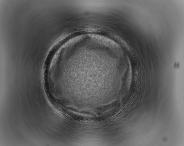 X0000099570730200806061602