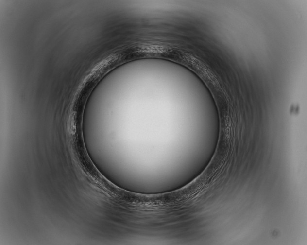 X0000099570731200806061602