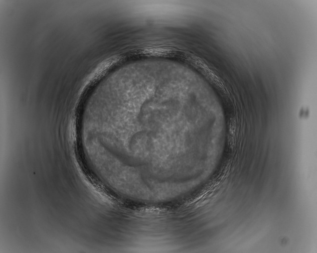 X0000099570734200806061602