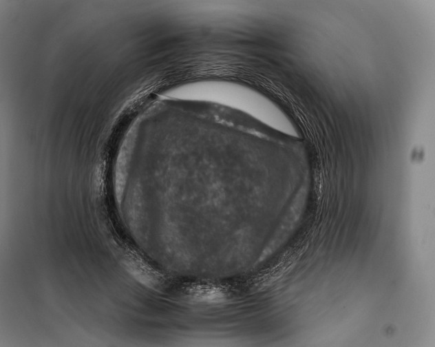 X0000099570735200806061602