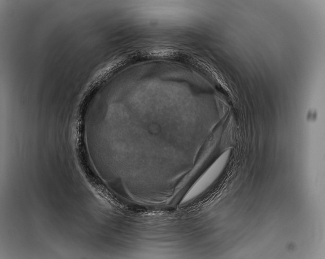 X0000099570736200806061602