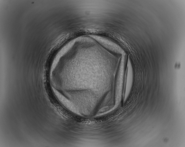 X0000099570738200806061602