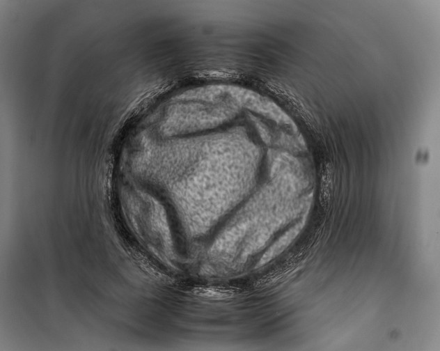 X0000099570739200806061602