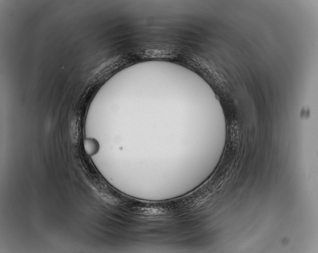 X0000099570741200806061602