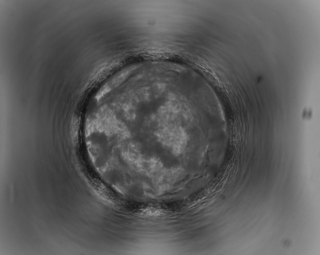 X0000099570742200806061602