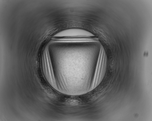 X0000099570743200806061602