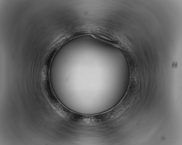 X0000099570744200806061602