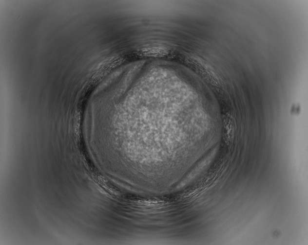 X0000099570745200806061602