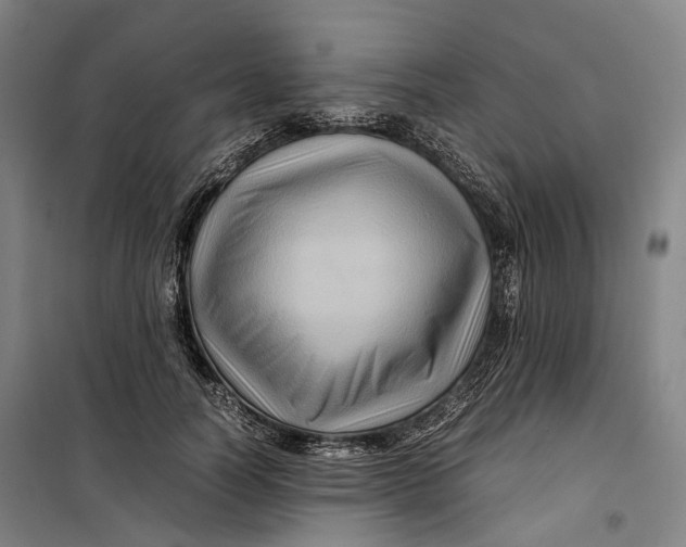 X0000099570746200806061602