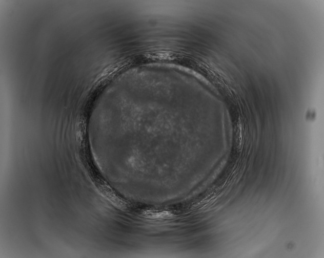 X0000099570747200806061602