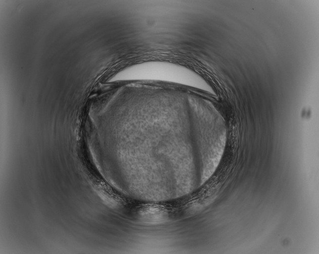 X0000099570750200806061602