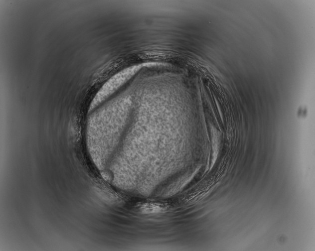 X0000099570751200806061602