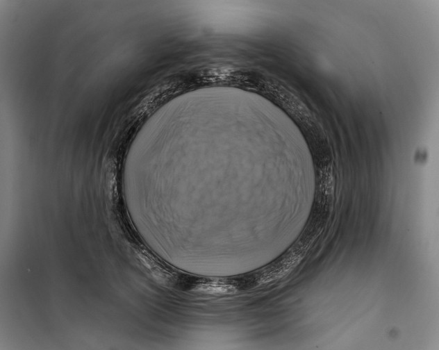 X0000099570754200806061603