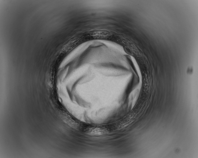 X0000099570755200806061603