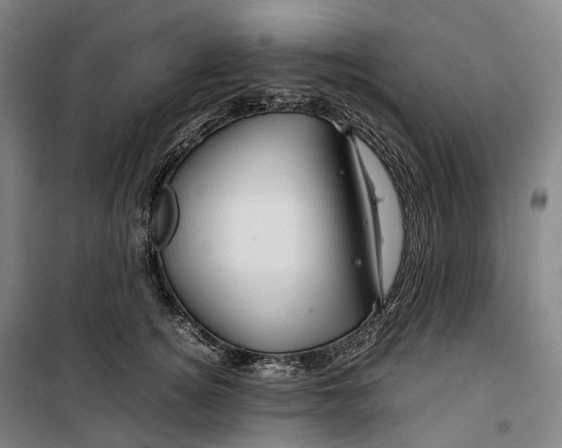 X0000099570756200806061603