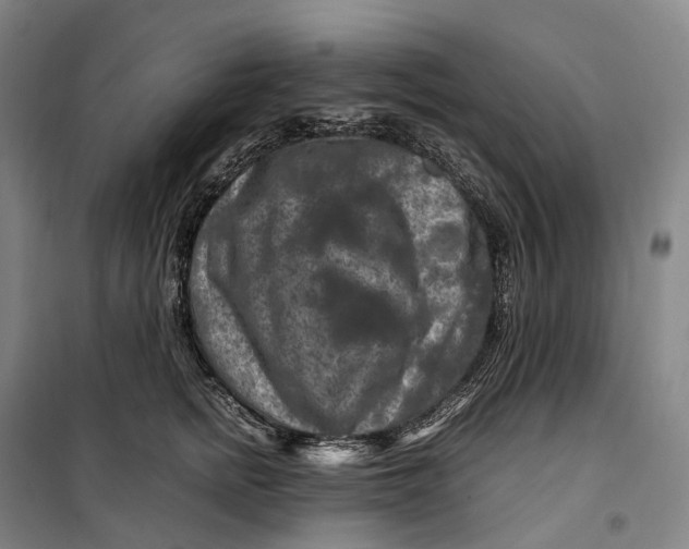 X0000099570758200806061603