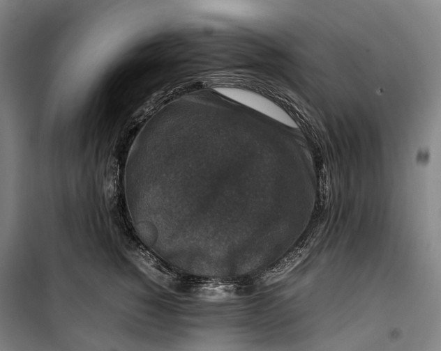 X0000099570760200806061603