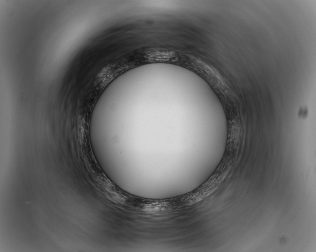 X0000099570761200806061603