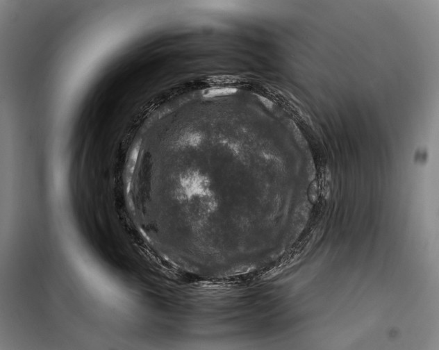 X0000099570763200806061603