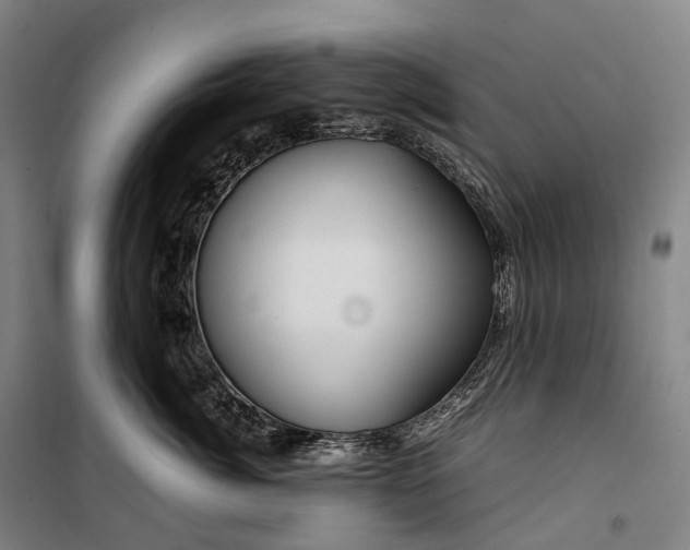 X0000099570764200806061603