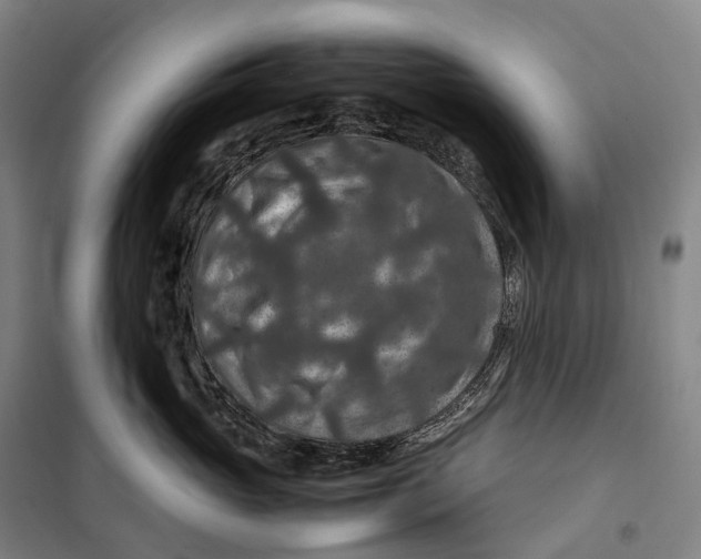 X0000099570765200806061603