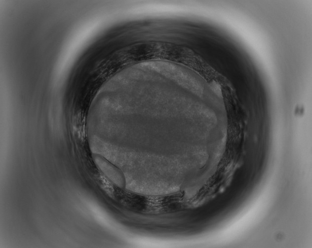 X0000099570766200806061603