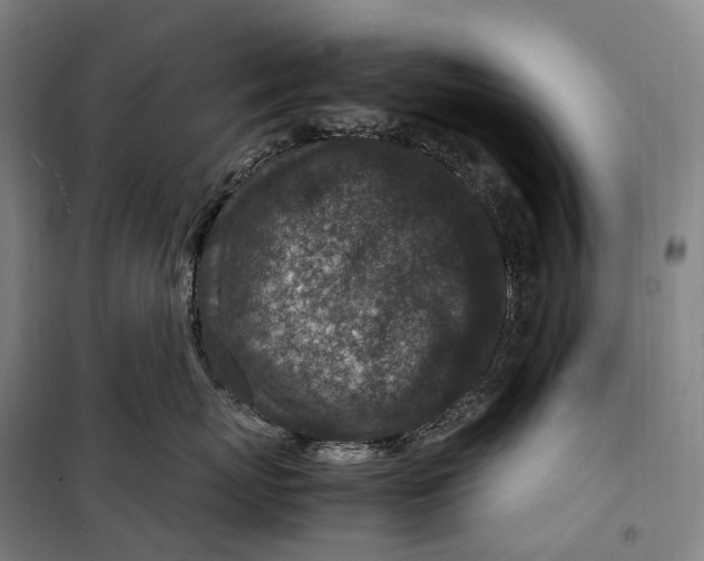 X0000099570767200806061603
