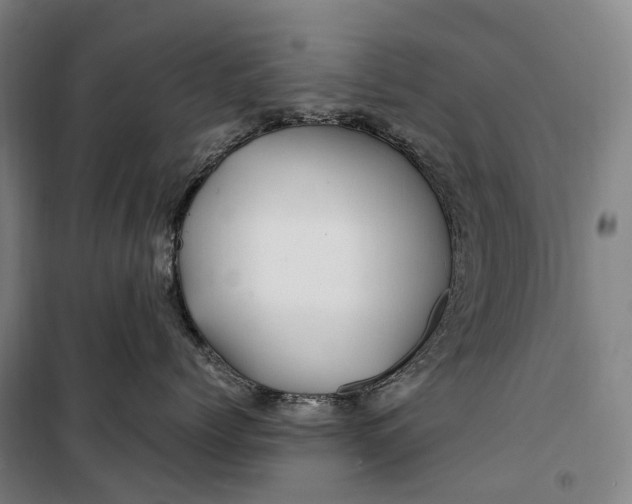 X0000099570768200806061603