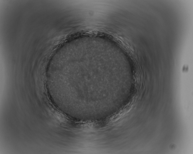 X0000099570769200806061602
