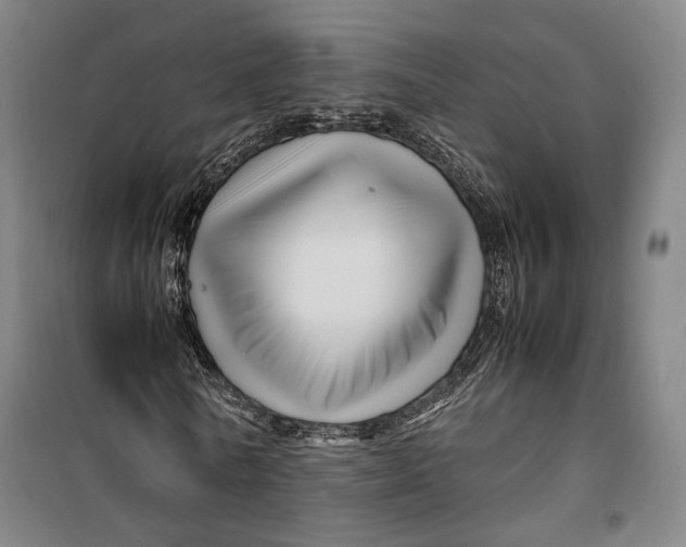 X0000099570770200806061602