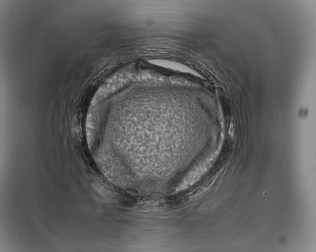 X0000099570771200806061602