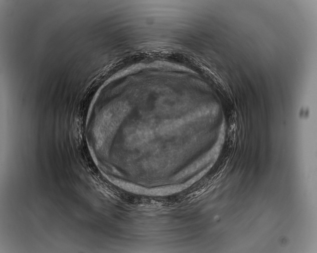 X0000099570772200806061602