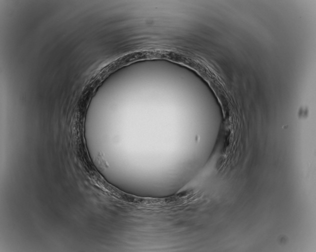 X0000099570773200806061602