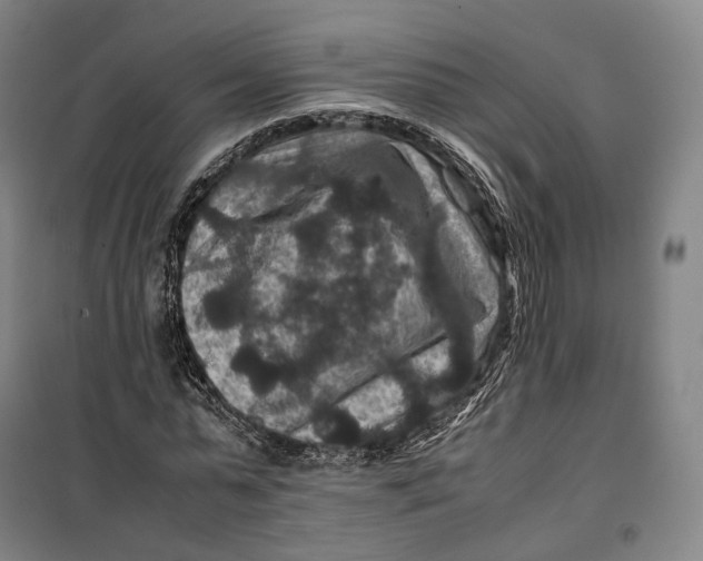 X0000099570775200806061602