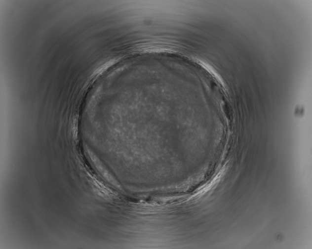 X0000099570777200806061602