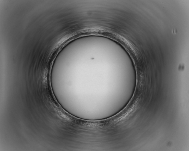 X0000099570778200806061602