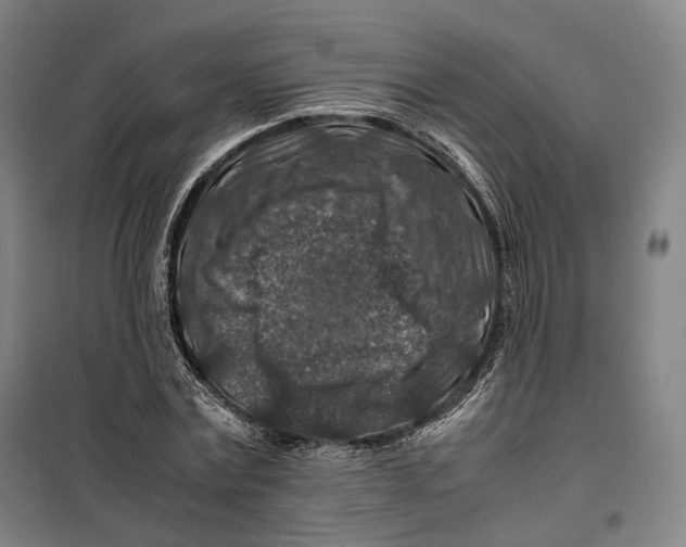 X0000099570779200806061602