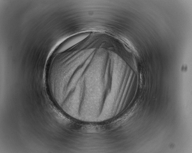 X0000099570780200806061602