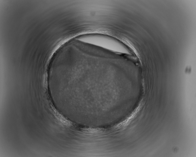 X0000099570781200806061602