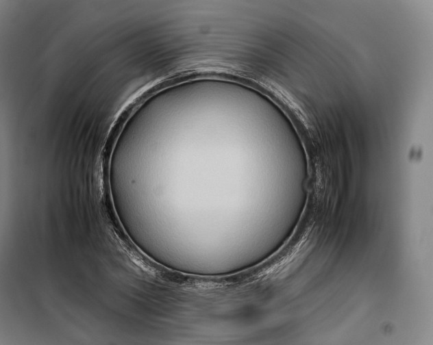 X0000099570782200806061602