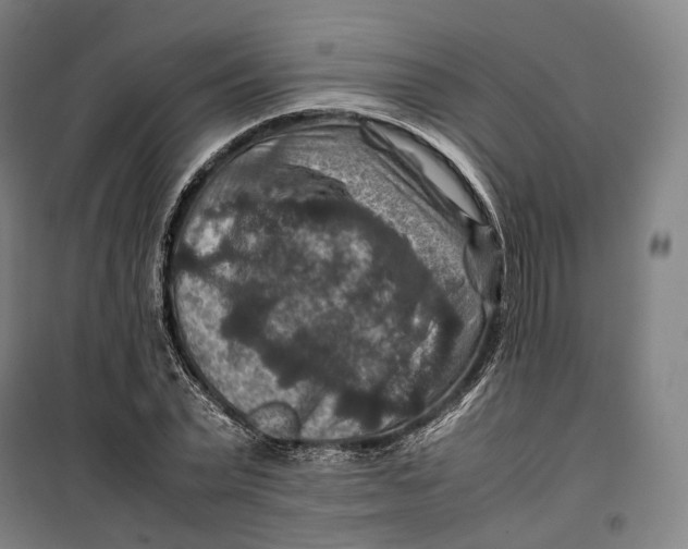 X0000099570783200806061602