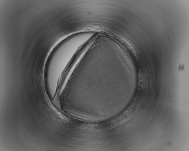 X0000099570784200806061602